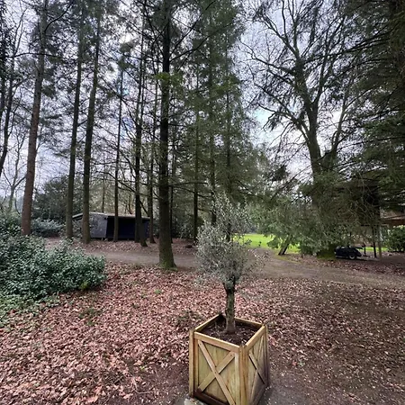 The Four Oaks House * Garderen